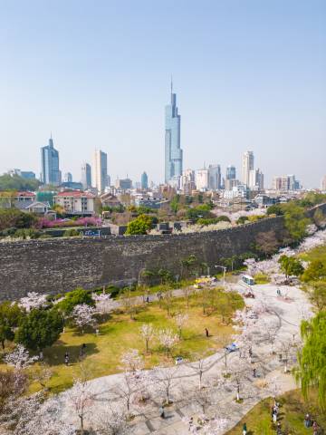南京洲际酒店图片