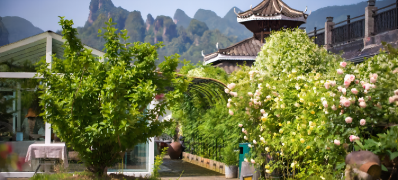 张家界望云居民宿(国家森林公园标志门店)图片