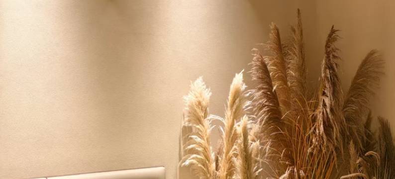 江风眠·酒店River Lull Hotel(合江门大观楼店)图片