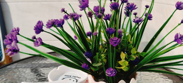 客来轩民宿(天马微生活区店)图片