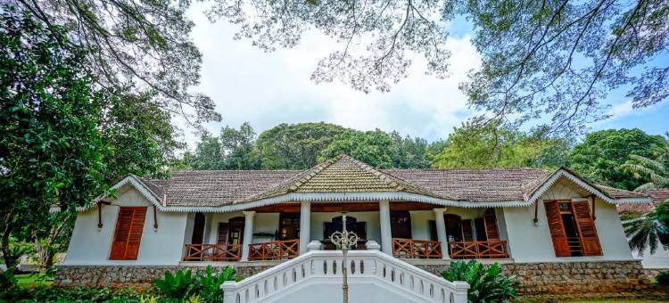 克洛庄园·七天使(Clodagh Manor House by Seven Angels)图片