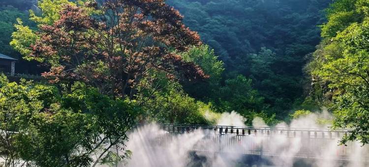 水雲乡·森林疗愈·度假民宿(天津蓟州梨木台风景区店)图片