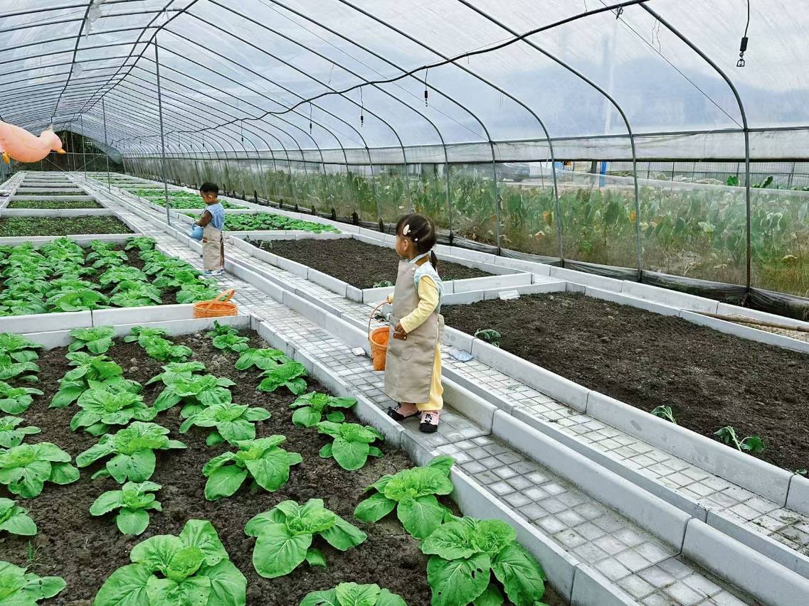 携程度假农庄(广州意境庄园联营店)图片