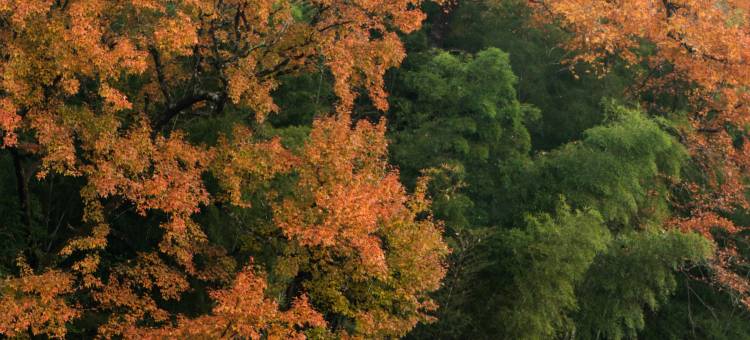 婺源然坞精品民宿图片