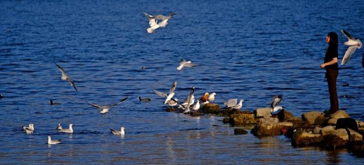 大理洱煦小院民宿(龙龛码头店)图片