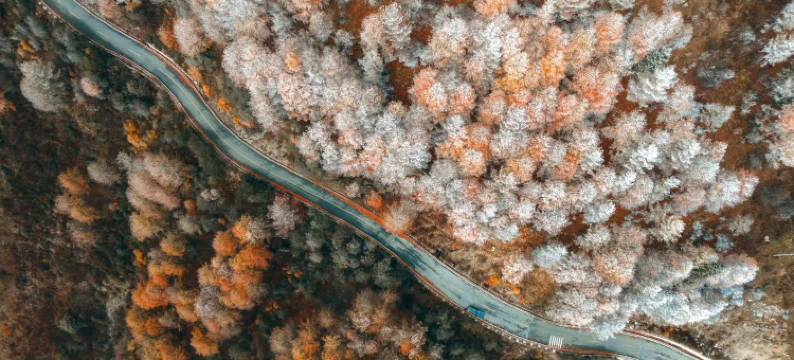 拾光·归宿木屋酒店图片