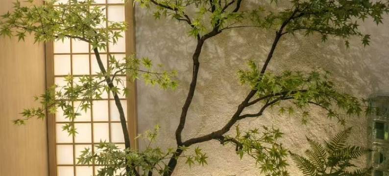 临汾隐庐阑珊民宿(山西电子科技学院店)图片