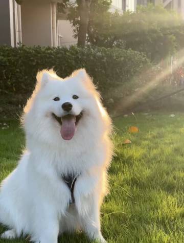 泸沽湖观山海·湖畔度假酒店(蒗放码头店)图片