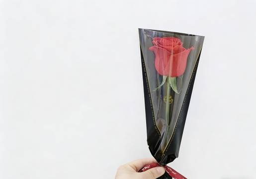 清远清新希尔顿欢朋酒店图片