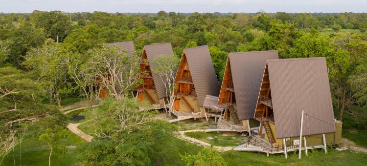 威尔帕图野生动物园度假村(Wilpattu Safari Resort)图片