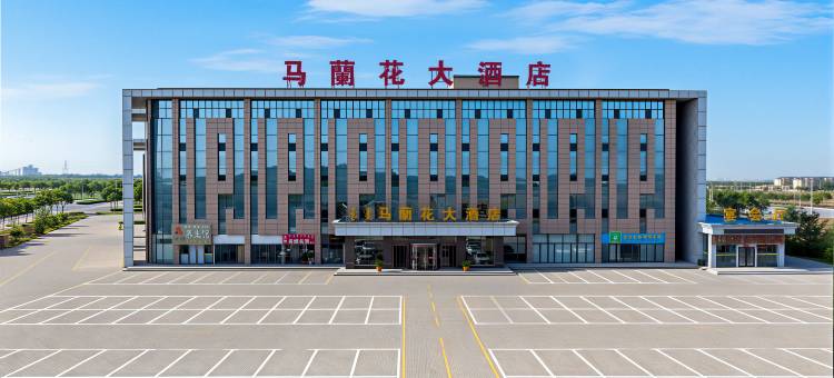鄂托克前旗马兰花大酒店图片