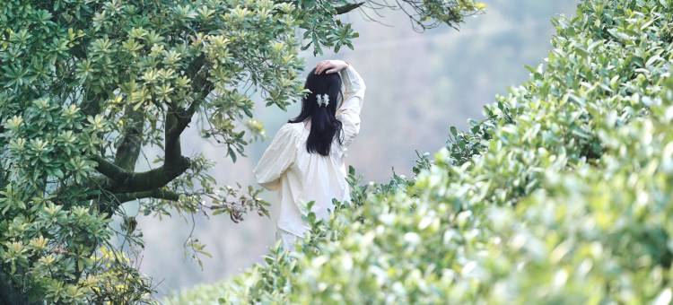 莫干山原舍望山美宿图片