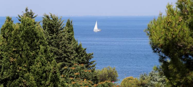哈莱图酒店 - 圣西蒙度假村(Hotel Haliaetum - San Simon Resort)图片