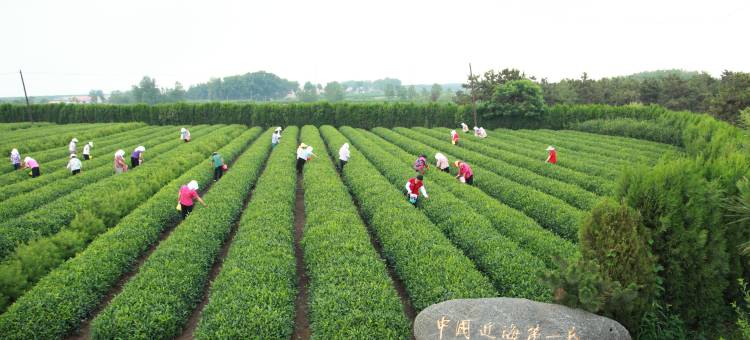 日照御海湾宾馆图片