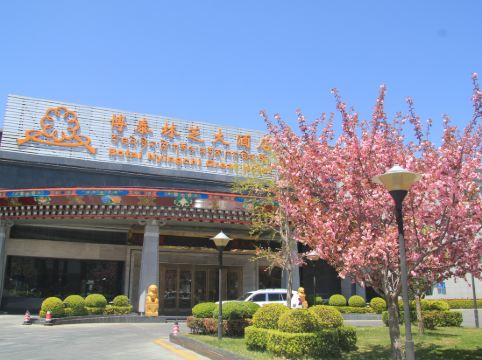 博泰林芝大酒店详情