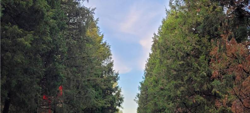 鞍山汤岗子温泉贵宾民宿图片