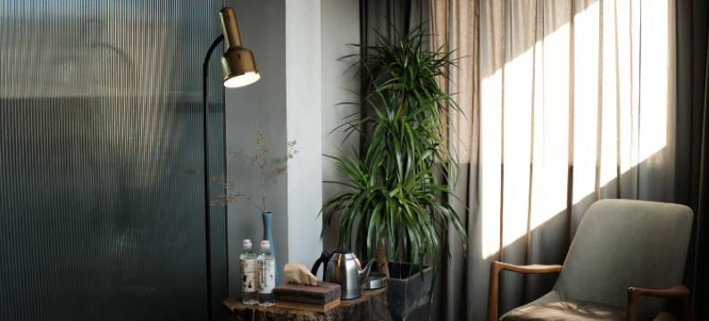 景德镇一夕言欢民宿图片