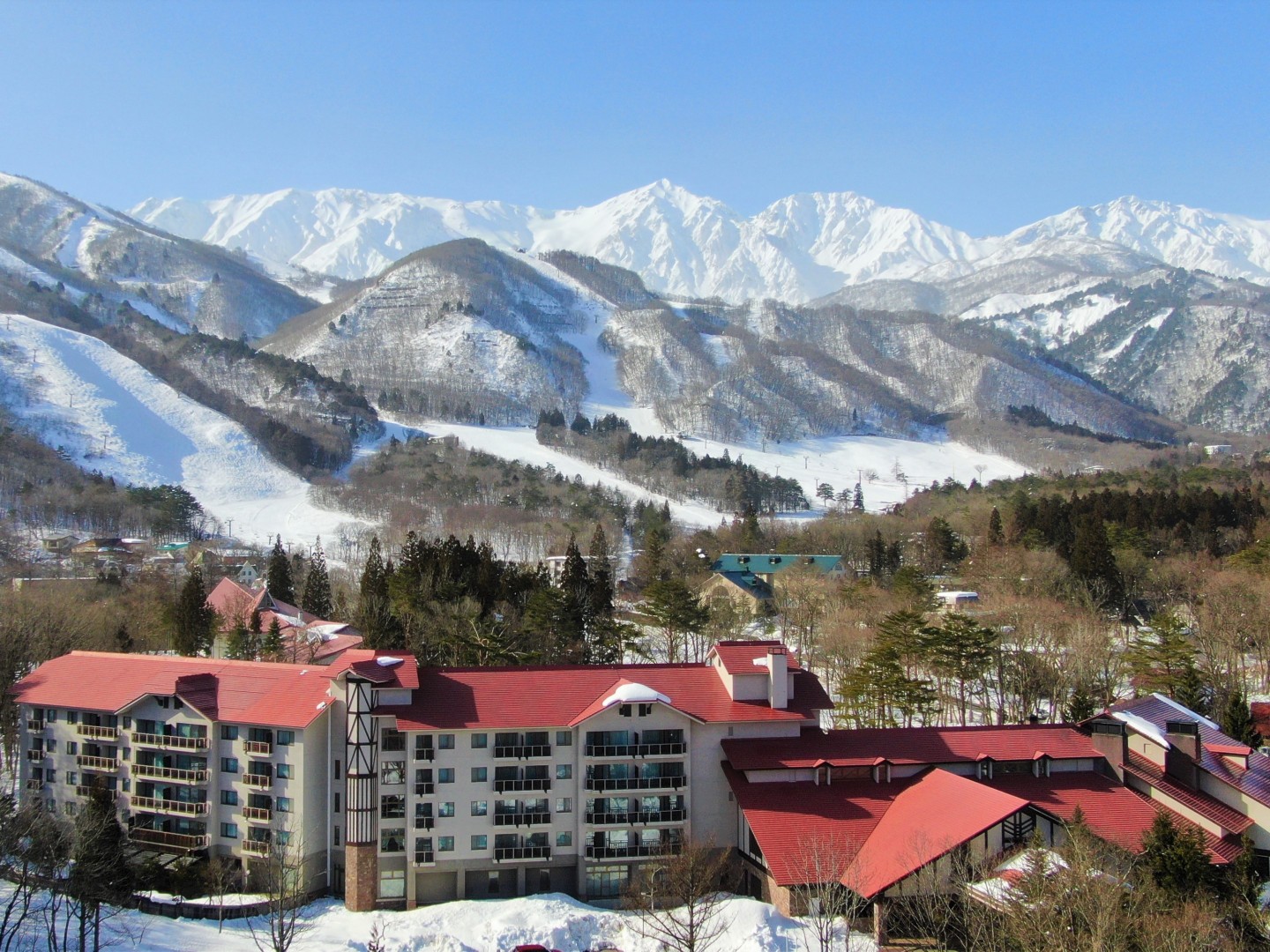 Hakuba Tokyu Hotel Over view