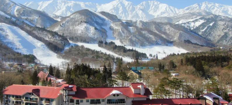 白马东急酒店(Hakuba Tokyu Hotel)图片