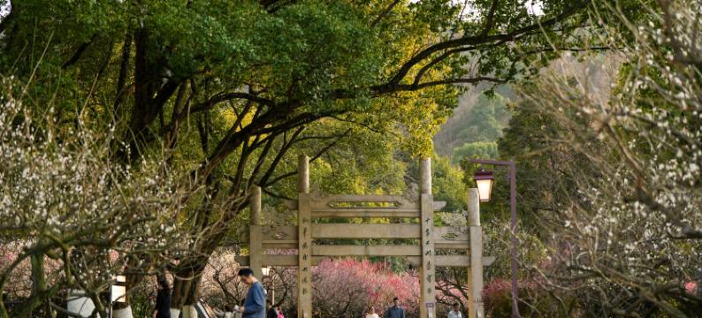 杭州水墨蓉庄私家园林酒店(超山风景区店)图片