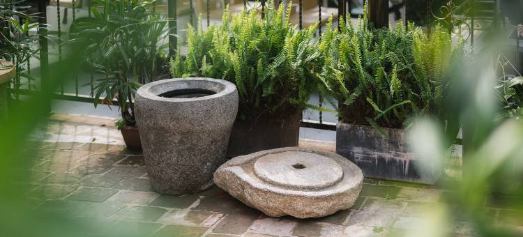 鼓浪屿桂茗和度假别墅(三丘田码头店)图片