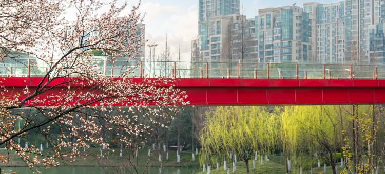 常州新运青枫苑酒店图片