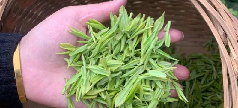 安吉小管家民宿(中国金钱松森林公园店)图片