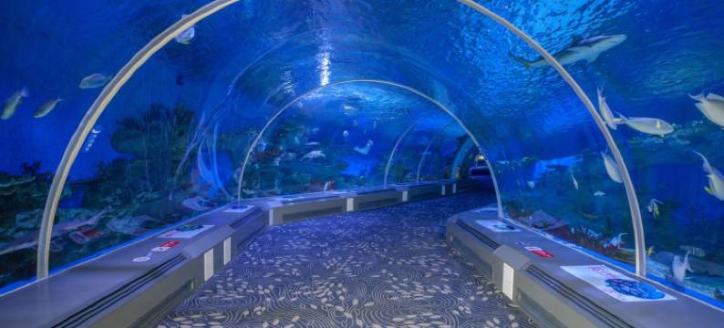 日照海岸渔家图片