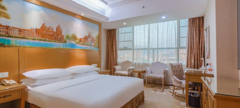 维也纳酒店(东莞塘厦高铁南站店)图片