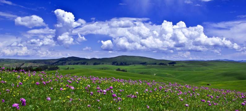 乌兰布统苏木瑞枫山居民宿(赤峰克什克腾旗乌兰布统草原景区店)图片