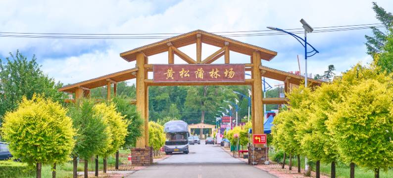山茶花农家院(长白山北坡黄松浦检票大厅店)图片