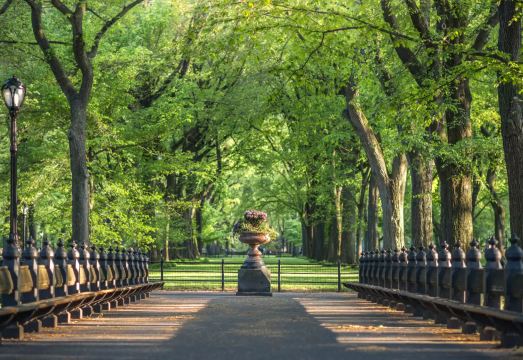 1 Hotel Central Park Over view