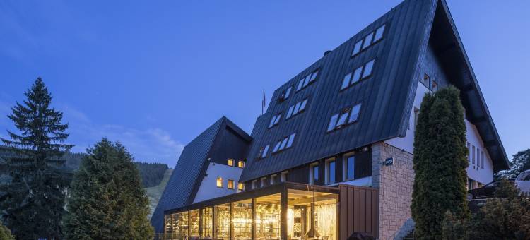 哈拉霍夫皮特劳恩康体酒店(Pytloun Wellness Hotel Harrachov)图片