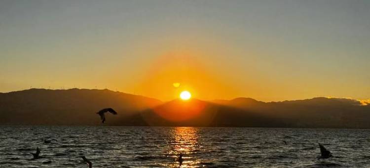 大理花语堂·海景度假别院图片