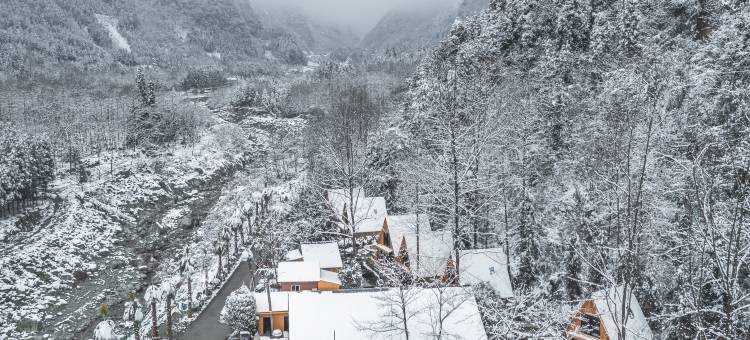 彭州挪威森林溪舍Forest hiking私汤民宿图片
