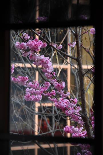 昆明银园酒店(昆明南站大学城店)图片