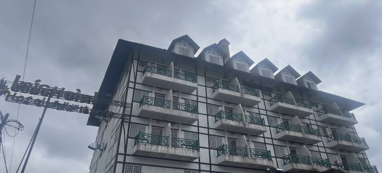 爱丽丝之家酒店(Iris House Hotel)图片