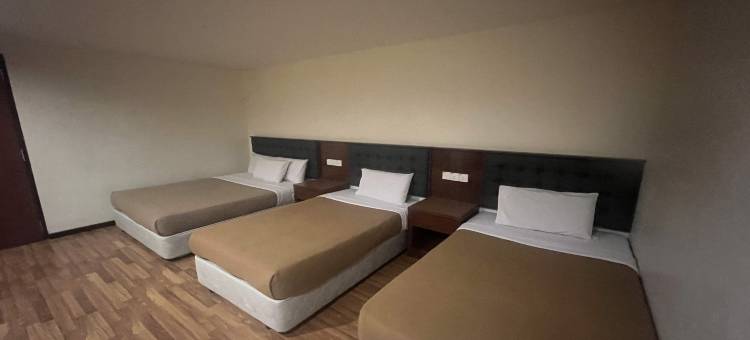 爱丽丝之家酒店(Iris House Hotel)图片