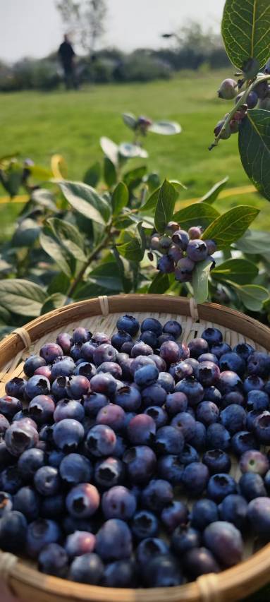 空院子隐奢度假酒店图片