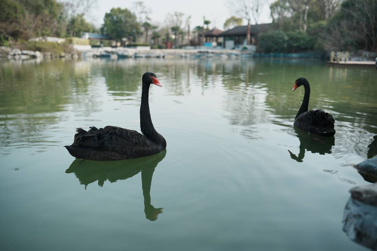 瘦西湖宋城度假酒店图片
