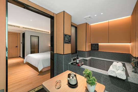 丰顺水岸汇庭温泉酒店图片