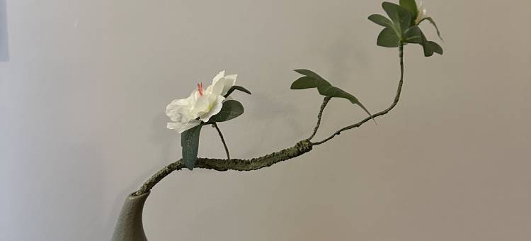 云水依民宿图片