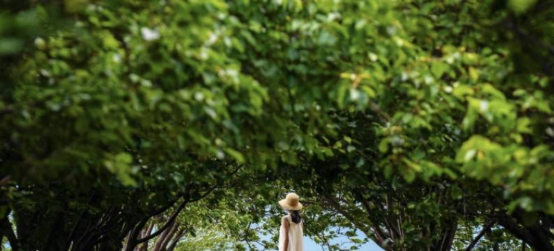 牧雨·TheSiik观海景美宿(大理洱海店)图片