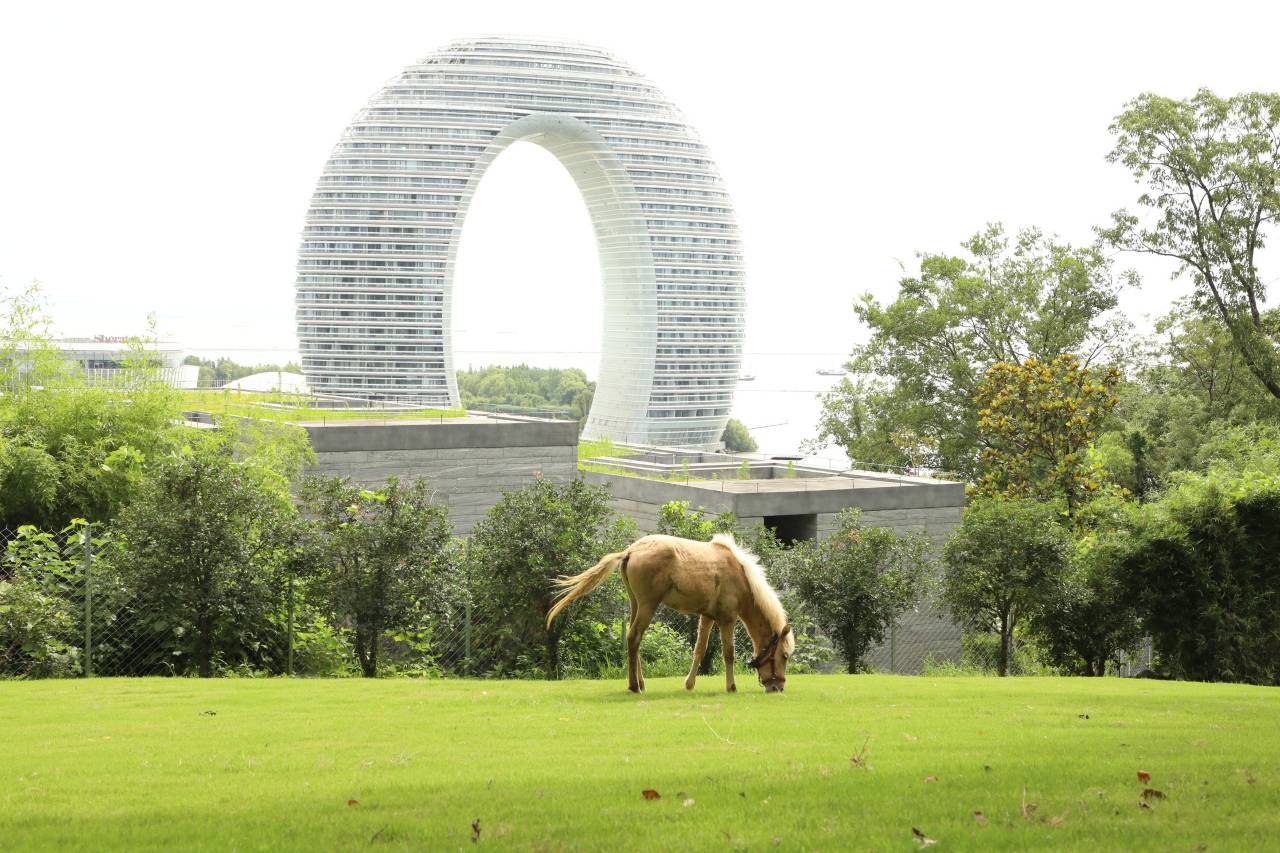 南太湖山庄图片