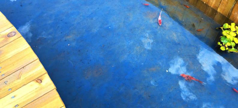 乐野山居民宿图片