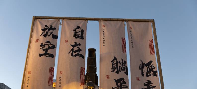 璞舍花兮自然美学设计师智能美宿(丽江古城大水车店)图片