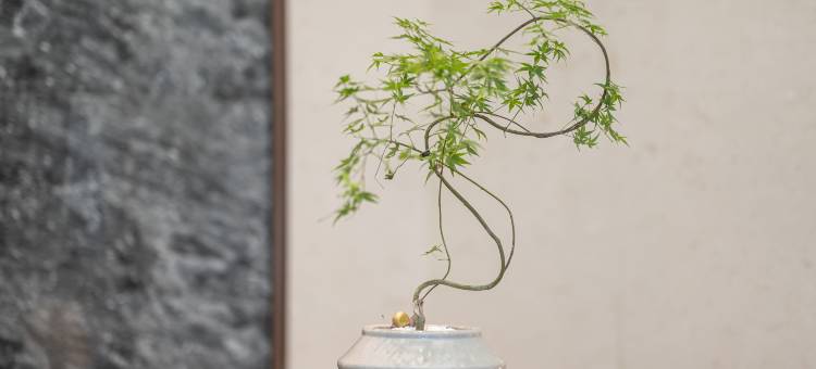 奎屯团结南街丽呈睿轩酒店图片