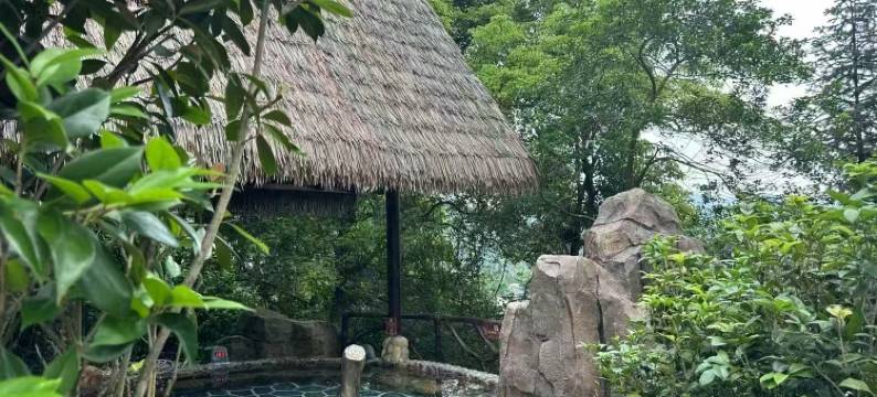 贺州西溪森林悦泉居温泉酒店图片