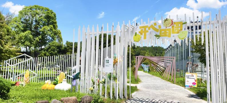 之江花舍民宿图片