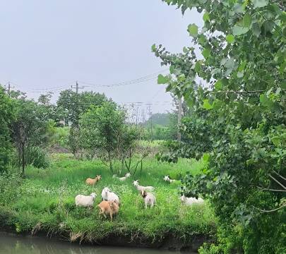 若逸ROY•半径遇(芜湖柒星原宿店)图片